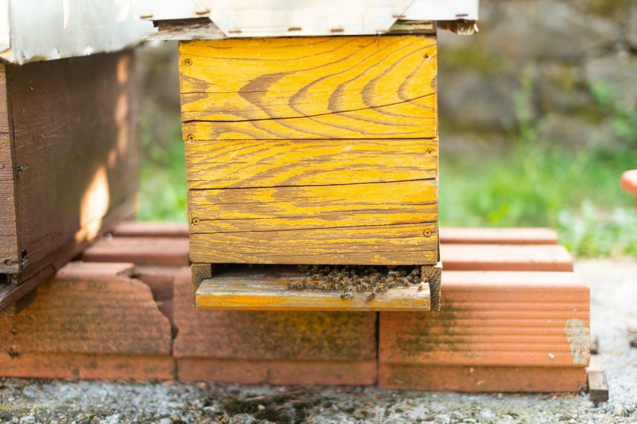 וירפזאר Honey Farm House מראה חיצוני תמונה