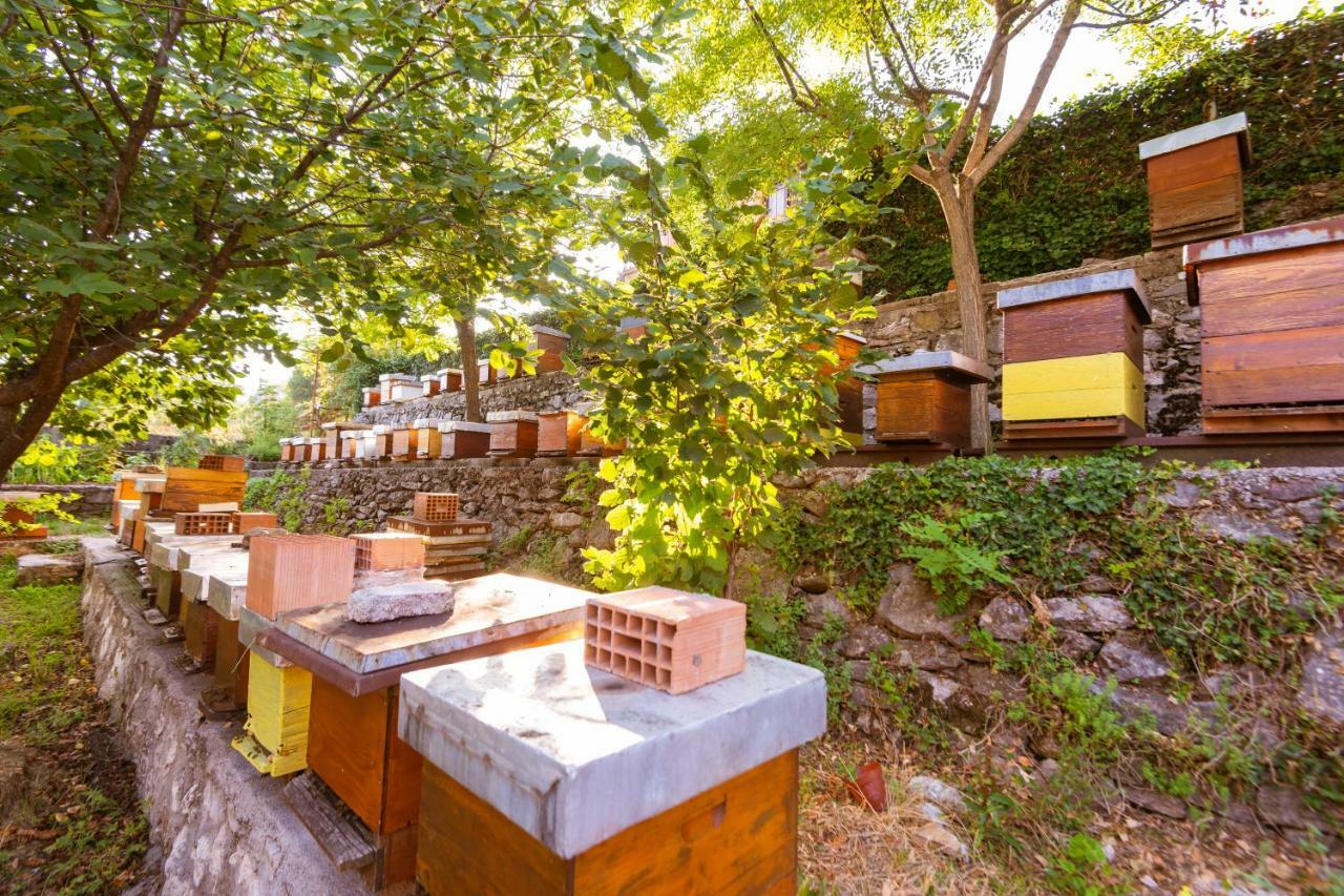 וירפזאר Honey Farm House מראה חיצוני תמונה