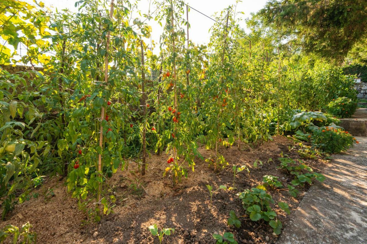 וירפזאר Honey Farm House מראה חיצוני תמונה